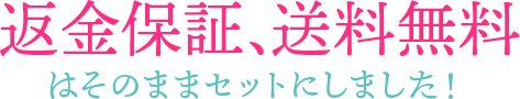返金保証、送料無料はそのままセットにしました！